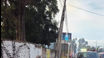 Dos perritos protegieron a su dueño atropellado en Cayambe hasta que llegaron los bomberos