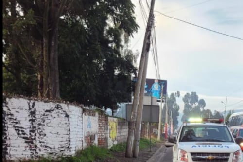 Dos perritos protegieron a su dueño atropellado en Cayambe hasta que llegaron los bomberos