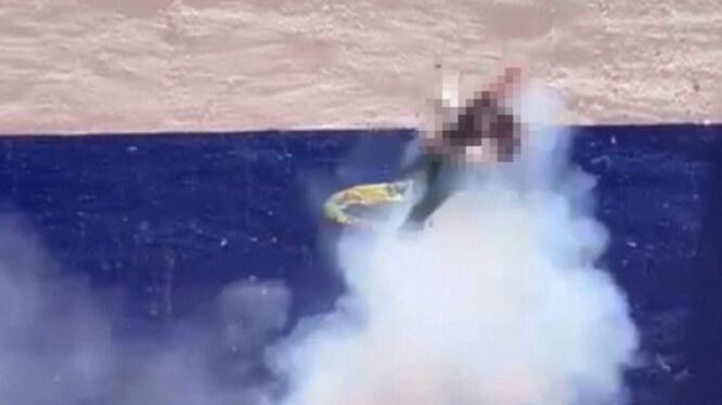 ¡Indignante! Estudiantes mexicanos explotan un gato con pirotecnia - Fuente: Imagen de X