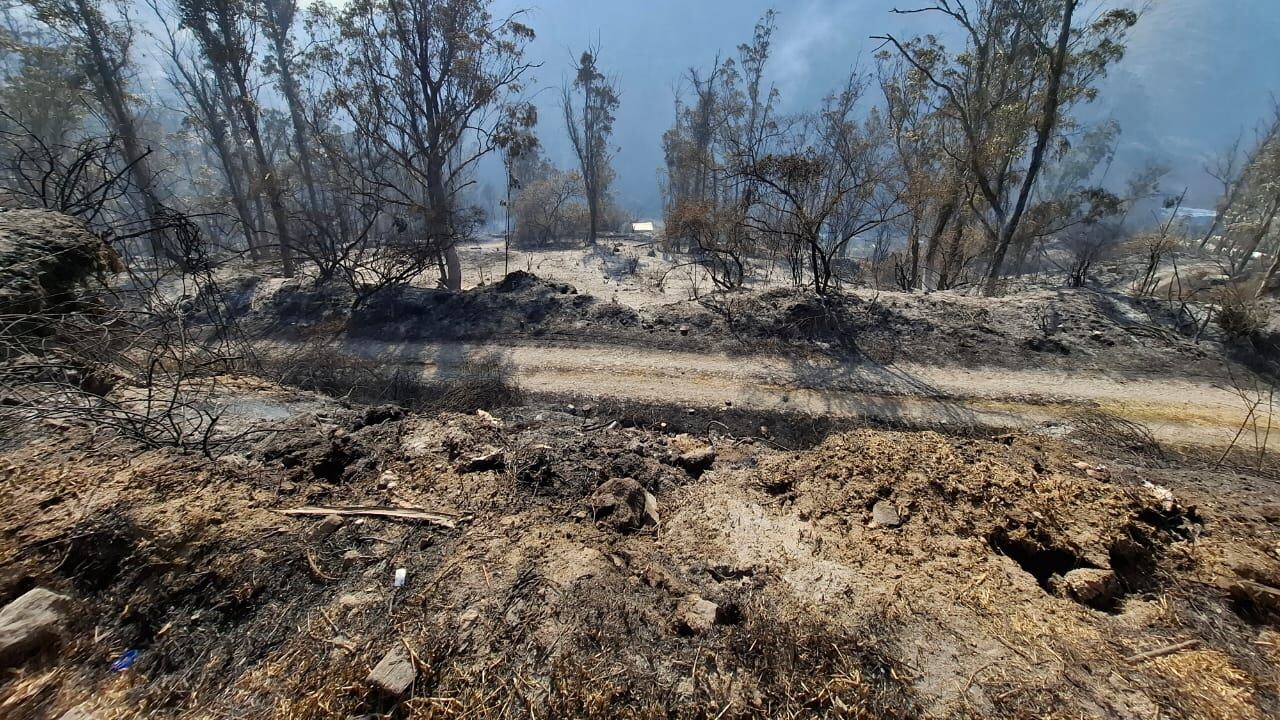 Situación en Guápulo
