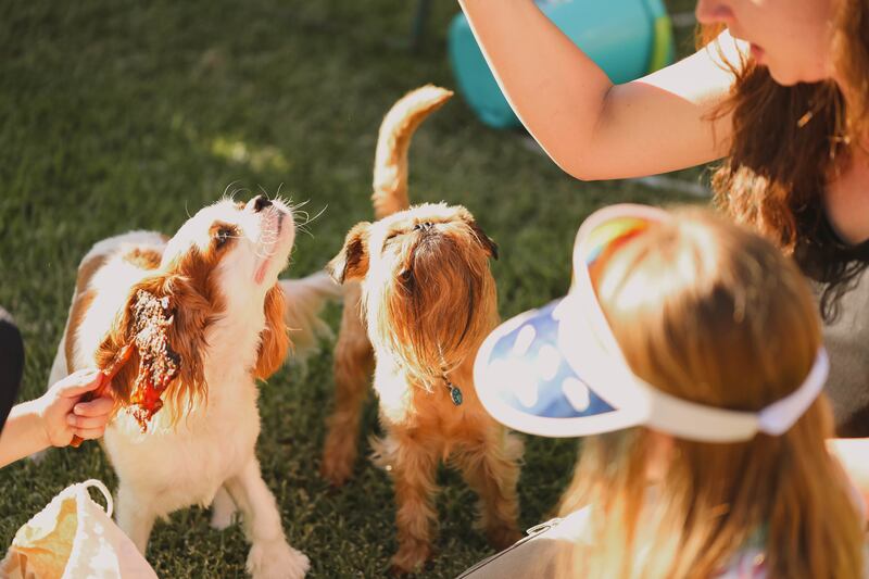 Niños con perros