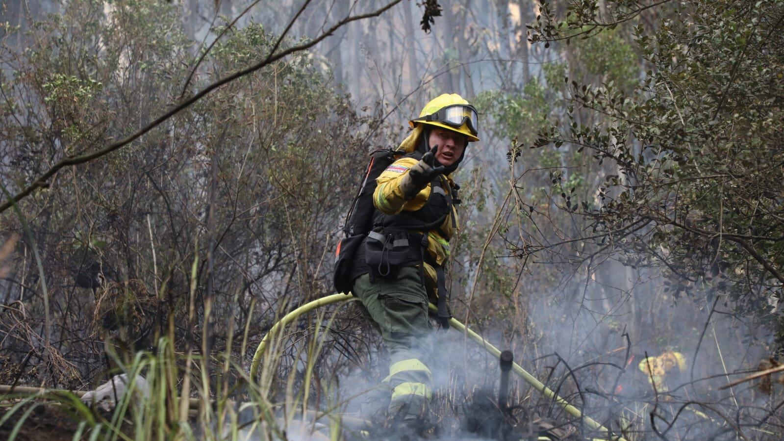 Bomberos combate incendio forestal en la zona de protección de San Juan, en Quito