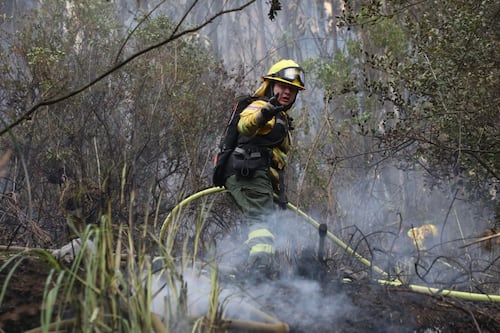 Bomberos combate incendio forestal en la zona de protección de San Juan, en Quito