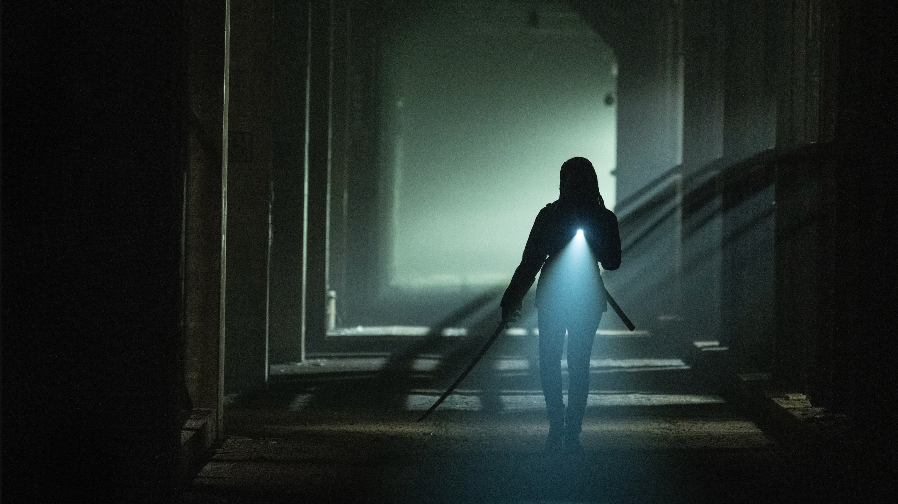 The Walking Dead: The Ones Who Live