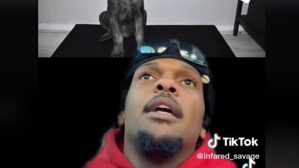 Compró una hiena, creyendo que era un perro