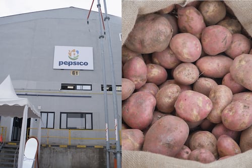 PepsiCo inaugura el primer centro especializado en almacenamiento de papa en Ecuador