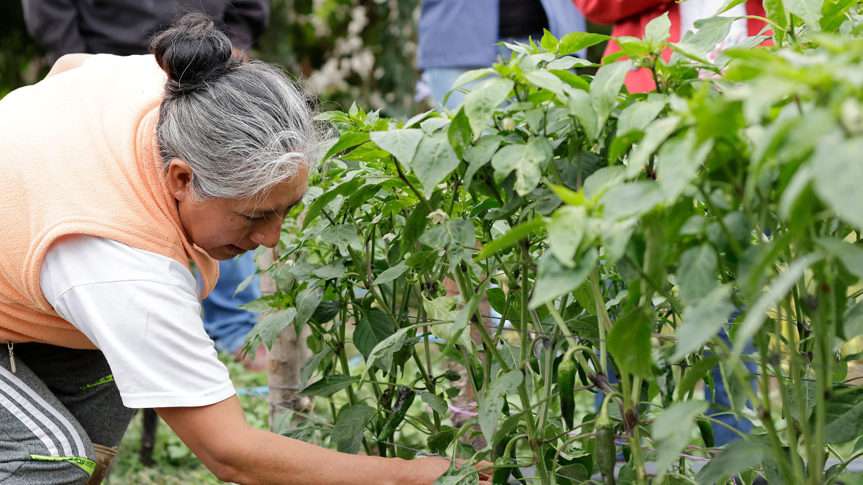 FOTO: Oscar Rodríguez/Agencia Enfoque