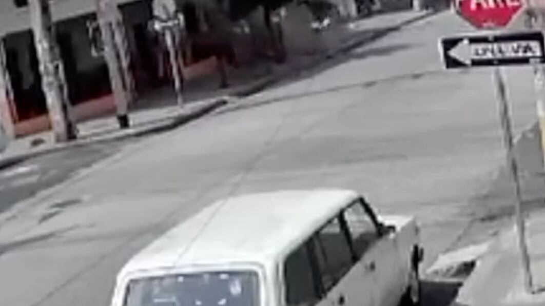 Mujer murió luego de que le cayera un andamio en Guayaquil.