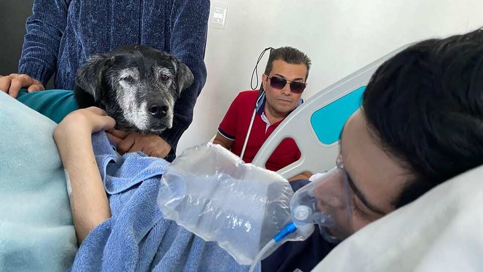 Un último adiós: Joven logra fallecer tras despedirse de su perro