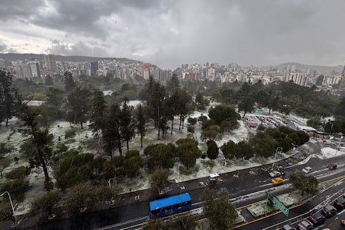 El parque La Carolina se pintó de blanco en Quito