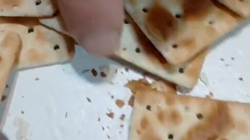 ¡De terror! Mujer encuentra gusanos vivos dentro de un paquete de galletas cerrado en Argentina - Fuente: Video de X