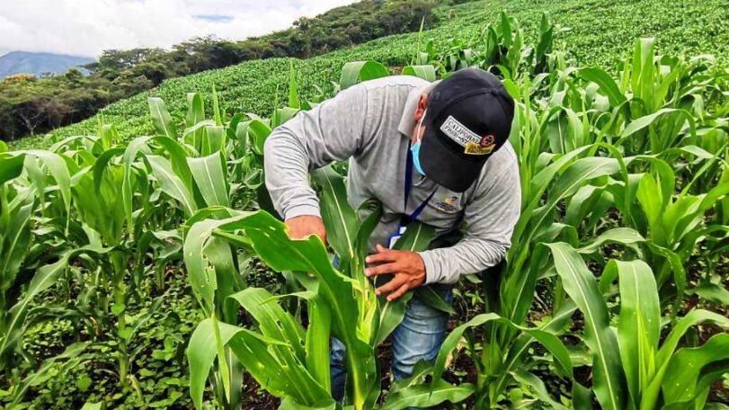 Ministerio de Agricultura
