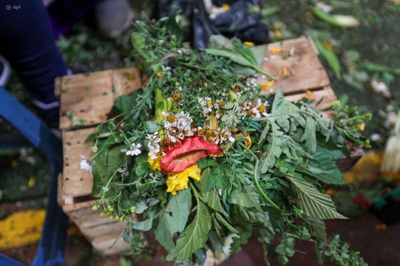 Familias ecuatorianas realizan limpias con plantas medicinales antes del Año Nuevo.