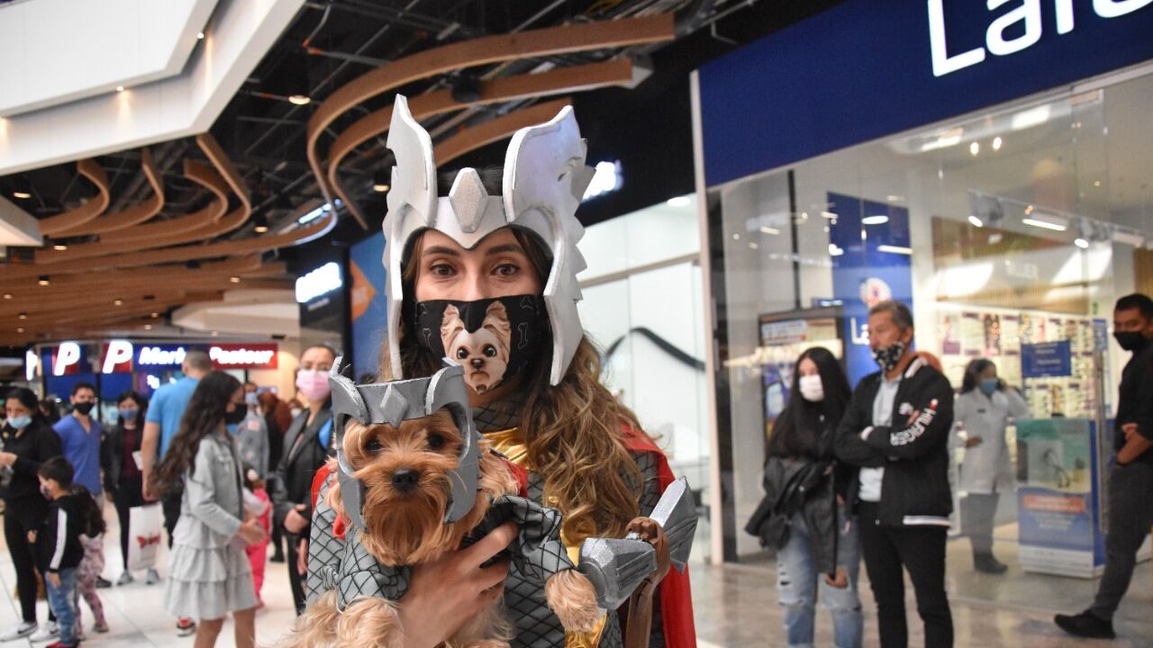 Mascotas Disfrazadas