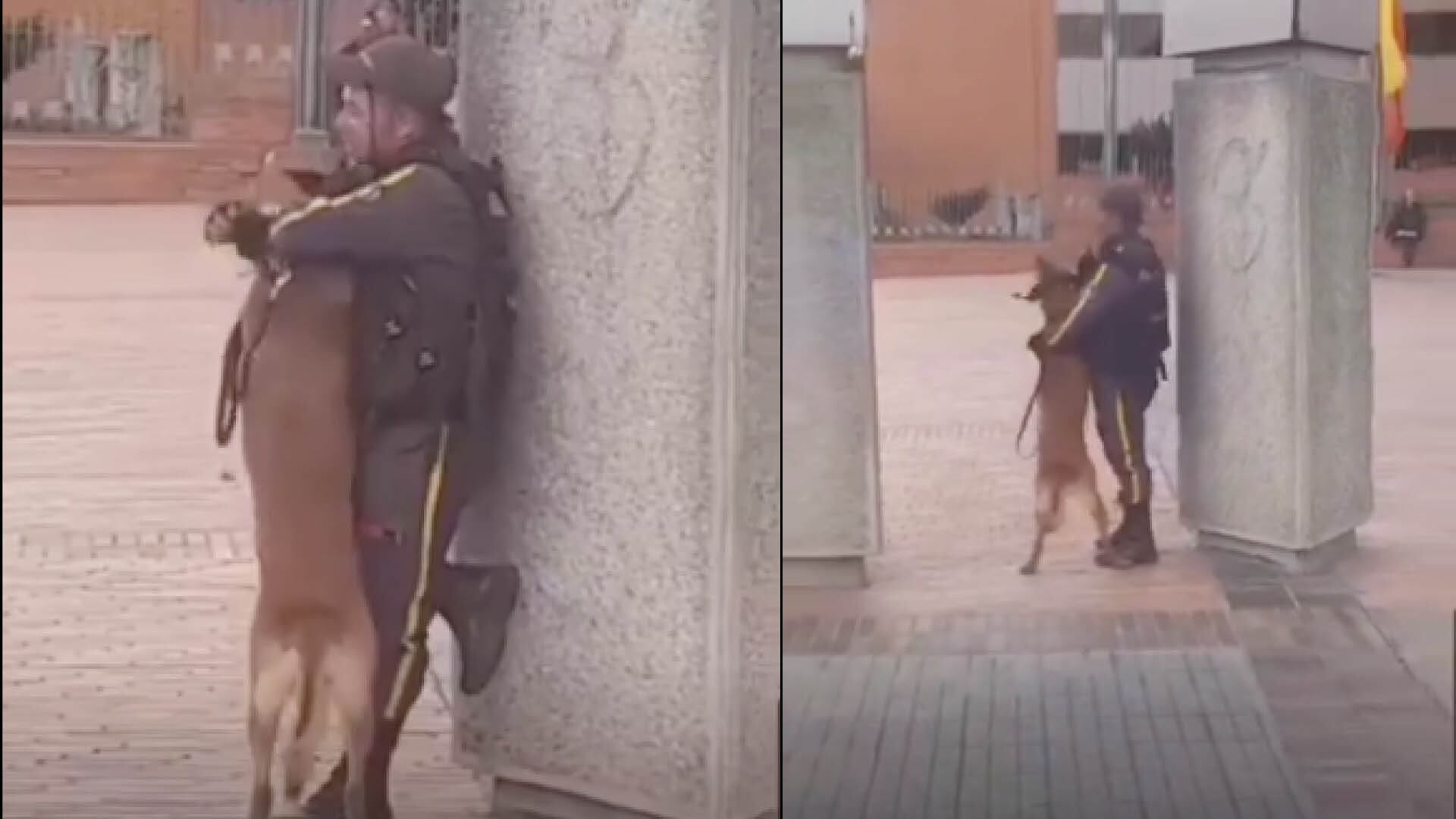 ¡Puro amor! Guardia de seguridad y su perrito se abrazan mientras están de turno