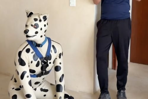 Así vive uno de los therian más famosos de la internet; busca ser adoptado