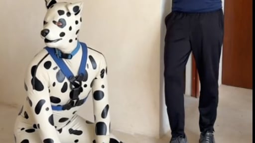 Así vive uno de los therian más famosos de la internet.