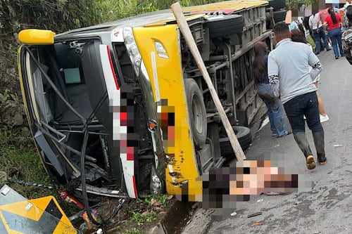 Seis fallecidos tras volcamiento de bus interprovincial en Napo
