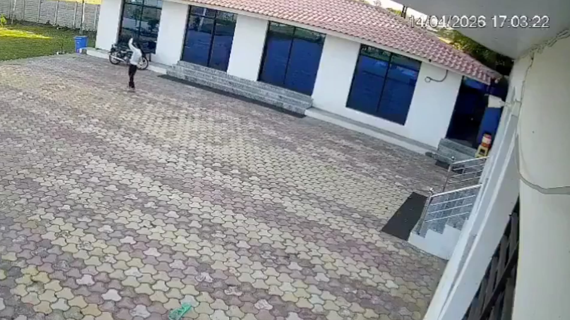 Falleció al intentar espantar un mono.