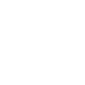 Copa Libertadores